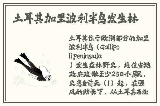 海角43.ccm